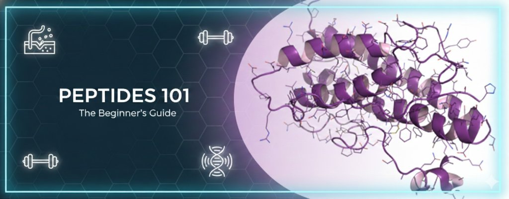 Peptides 101 - The Beginner's Guide
